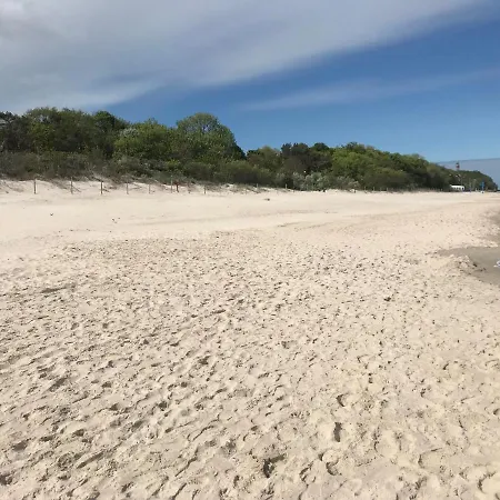 Orman Evi Poprostudomki